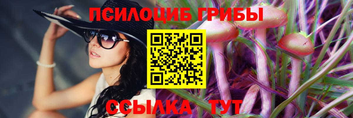 Псилоцибиновые грибы MAGIC MUSHROOMS  Вход с VPN  Галлюциногенные грибы GOLDEN TEACHER  Лабинск 
