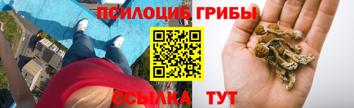 Псилоцибиновые грибы GOLDEN TEACHER Лабинск